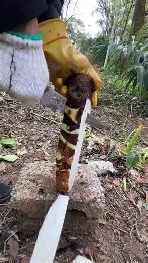 313. Showcase Your Best Finds in the Sunlit Spring