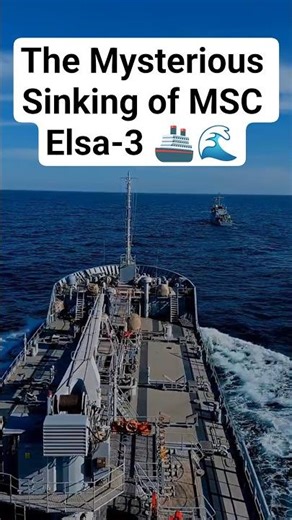 The Mysterious Sinking of MSC Elsa-3 🚢🌊#facts #shorts #shortvideo #ship #factfuldiscoveries