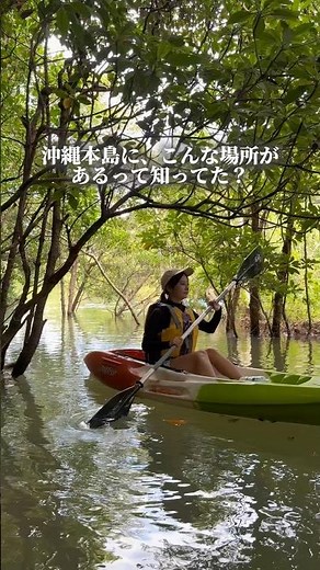 沖縄本島に、こんな場所があるって知ってた？🌴沖縄本島最大級のマングローブ林を“カヌー体験”しませんか？🛶 #やんばる #沖縄旅行 #沖縄観光 #沖縄ツアー #東村 #沖縄北部