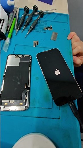 Replace the screen on iPhone 13 #repairs #phonerepair #repairskills