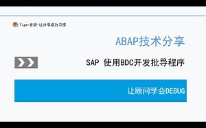 让顾问学会DEBUG 使用BDC创建批导程序