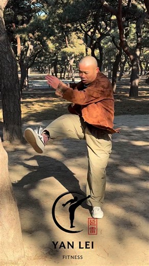 Shifu Yan Lei | Kick. Punch. Block. Traditional Shaolin Movements. | Instagram