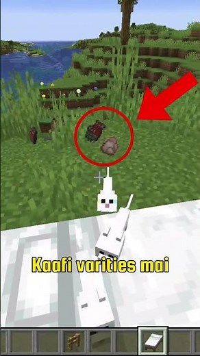 4 Secret Mob abilities in Minecraft