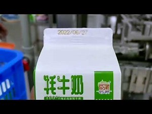 Gable Top Carton Filling Packaging Machine 1200CPH Boxes Filler and Sealer