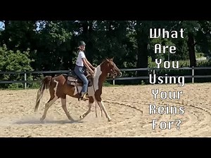 What Are You Using Your Reins For?