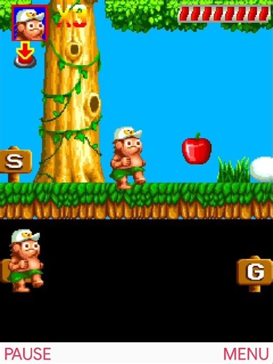 Adventure Island Java