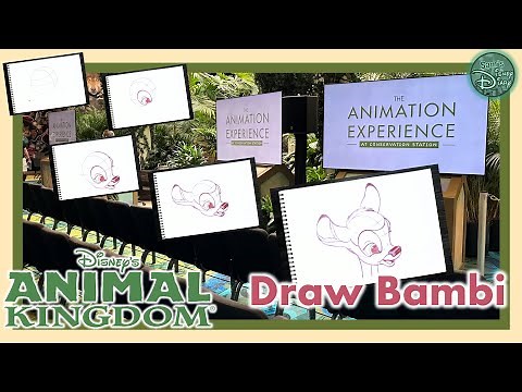 Learning to Draw Bambi: The Disney Animation Experience at WDW Animal Kingdom Conservation Station