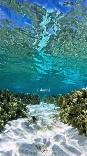 Calming Nature Therapy for Relaxation
