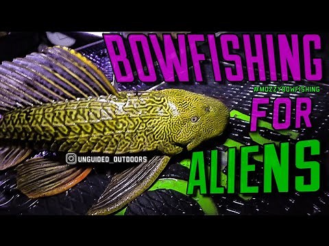 Bowfishing the Invasives {Catch Clean Cook}