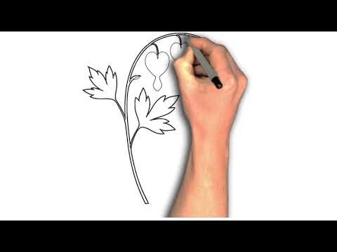 How to Draw "Bleeding Heart Flower Drawing | Symbol of Love & Emotion | Easy Floral Art Tutorial"