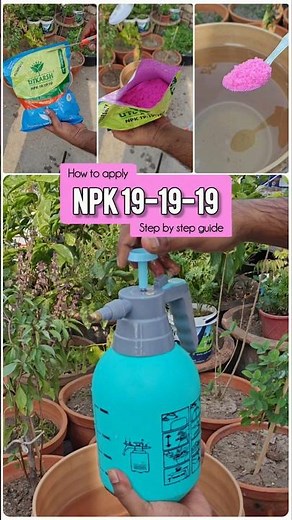 What is NPK 19-19-19 | How to use NPK | What are the benefits of NPK 19-19-19 #npk #npk191919