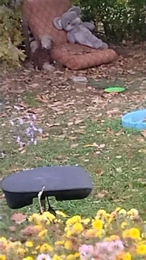 #октябрь #временагода #чайковский