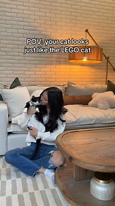 17K views · 173 reactions | Wait for her reaction at the end 凉梁 this also took like 7 hours to build so please like this vid hahaha #lego #legocat #cattok #catsoftiktok #catlover #catlego | Newbuild Newlyweds | Facebook