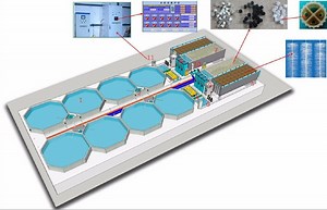 Nuôi lươn không cần bùn và thay nước