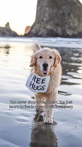 12K views · 703 reactions | Four years ago today, I said goodbye to...