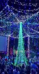 BEST LIGHT DISPLAY🎄🎅🎁 | The Holiday Light Show at Splash Water Park is an annual Nocatee tradition! The family-friendly light show is located at 245 Nocatee Center Way, Ponte Vedra Beach, FL 32081. News4Jax is searching for the best light displays around town! Take a video and send it to News4Jax! #JaxBest #OnlyInJax | WJXT4 The Local Station / News4JAX