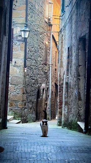 𝗖𝗶 𝘀𝗼𝗻𝗼 𝗯𝗼𝗿𝗴𝗵𝗶 𝗰𝗵𝗲 𝗻𝗼𝗻 𝘀𝗶 𝗮𝘁𝘁𝗿𝗮𝘃𝗲𝗿𝘀𝗮𝗻𝗼: 𝘀𝗶 𝘀𝗲𝗻𝘁𝗼𝗻𝗼… ‌ 𝗣𝗶𝘁𝗶𝗴𝗹𝗶𝗮𝗻𝗼 è uno di quelli—soprattutto d’inverno, quando la luce dorata si mescola alle piccole decorazioni natalizie e ogni vicolo sembra pronto a raccontarti una storia gentile. Qui le domeniche di dicembre hanno un ritmo diverso: morbido, lento, quasi musicale… come un fotogramma che vorresti trattenere un po’ di più. ‌ Tra le case di tufo, la quiete diventa un abbraccio. Le luci delle fes