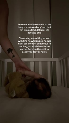 Understanding the Concept of Unicorn Babies