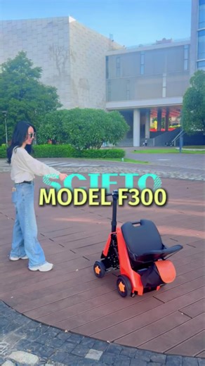 Model F300: Leading Wheelchair Innovation