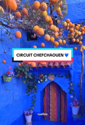 Découvrez la magie du Nord du Maroc… 🇲🇦✨ Nous vous proposons un circuit exclusif et sur-mesure de Marrakech jusqu’à Chefchaouen, la célèbre perle bleue. Vivez un voyage d'exception alliant confort, évasion et intimité. Pour sublimer votre expérience, laissez-vous guider à travers les montagnes du Rif, profitez d'arrêts privilégiés dans des villes emblématiques comme Rabat, et séjournez dans les plus beaux riads de la ville bleue. 💙 🌐 Réservez votre circuit et vos activités : Sur : bonsejourt