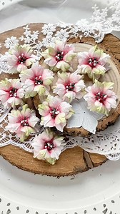 7.3K views · 515 reactions | Create beautiful paper flowers with me  These will be perfect not only for Christmas cards, I used them to decorate lantern, as a table decorations and on other Christmas crafts ☺️ …… Mixed media paper 160gsm @ladyedesign Poinsettia & Winter Leaves cutting die …. #ladyedesigndies #ladyedesign #emiliasieradzanflowers #handmadeflowers #paperflowers #christmasflowers #kwiatyręcznierobione #kwiatyzpapieru | Emilia Sieradzan Creative Studio | Facebook