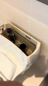 The simplest way to replace a fill valve on a toilet #nycvibes #diy