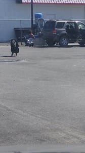 13M views · 74K reactions | Oye y tu esposa si cuida los niños? La esposa: | Mustang Team Racing. | Facebook