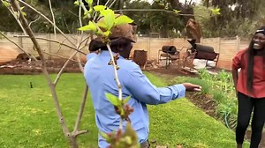 Send and receive money using Manixe Money Transfer. Their services are quick and impressive. Click on this link https://wa.link/v9phyk | Gamue