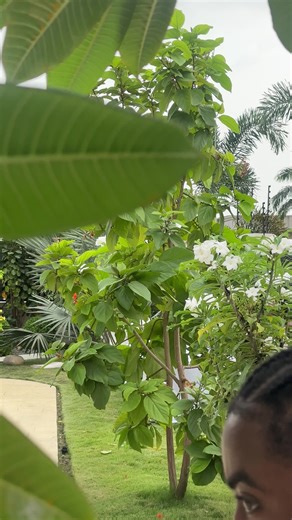 Jeremiah 30:19 KJV And out of them shall proceed thanksgiving and the voice of them that make merry: and I will multiply them, and they shall not be few; I will also glorify them, and they shall not be small. Happy Sunday Fam ❤️🙏🏽 𝑩𝒆𝒂𝒖𝒕𝒊𝒇𝒖𝒍 𝑬𝒗𝒆𝒏𝒕𝒔 𝑪𝒓𝒆𝒂𝒕𝒆 𝒍𝒂𝒔𝒕𝒊𝒏𝒈 𝒎𝒆𝒎𝒐𝒓𝒊𝒆𝒔 . . . BOOK A PROFESSIONAL EVENT MC For bookings and enquiries; ☎️0205034152/0245204155 📧michaelgyan297@gmail.com ____________________________________ Wedding Reception 🔹Okyeame🔹Awards🔹Pa