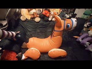 Squeaking A Japanese Horse Inflatable