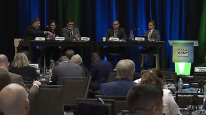 A glimpse into Minnesota's cannabis future