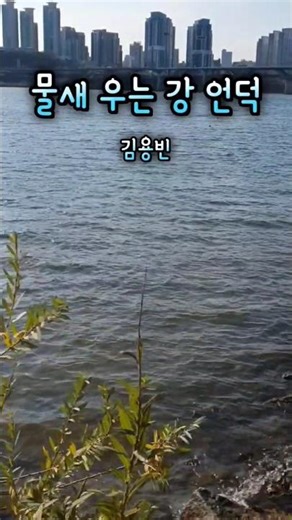 물새 우는 강 언덕#1, 1955년 발표된 대표트로트곡#박시춘작곡#손석우작사#백설희노래#미스터트롯3#트롯전국체전#트로트#트로트순위#김용빈#한강뚝섬공원#영화구원의애정삽입곡