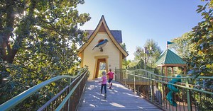 Family Activities in Memphis