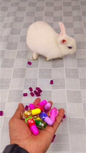 🐇✨ Satisfying Reverse 🌈 Video ASMR #satisfying #reverse #viral #oddlysatisfying #shorts #asmr