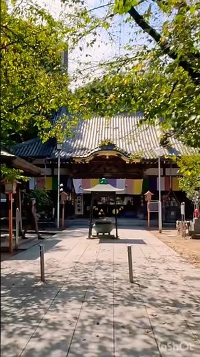 川越・蓮馨寺：おびんずる様と懐かしの味！庶民に愛される名刹散策⛩️ Renkeiji Temple: A Warm & Historic Sanctuary in Kawagoe.