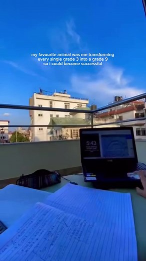 GCSE Results Day Countdown: Tips and Memes