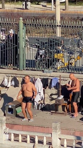 Bear's Spring Adventure: Capture the Moment