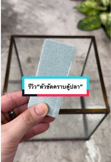 รีวิวตัวขัดคราบตู้ปลา สูตรใหม่
