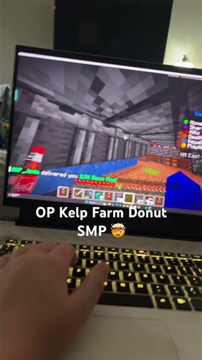 Crazy kelp farm (donut SMP)