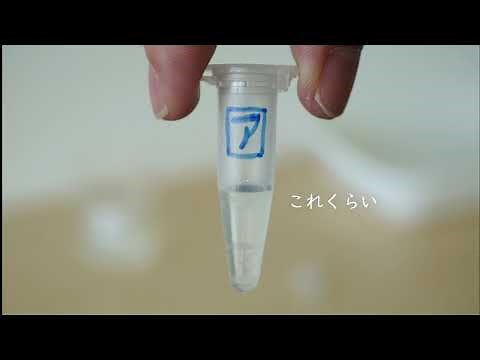 啓林館 唾液の実験動画（小学校理科）