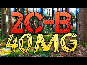 2CB at 40mg | Experience