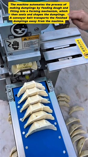 Automated Dumpling Machine: A Culinary Revolution!