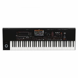 Korg PA4X 76-Key Professional Arranger Keyboard with Free Micro SD Card, Indian Sounds & Styles