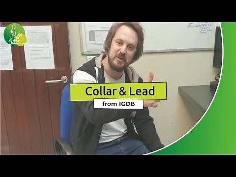 GUIDE DOGS TRAINING ACADEMY - Fitting a collar and lead