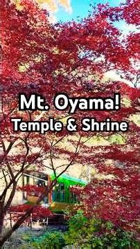 Vibrant Autumn Leaves at Sacred Mt. Oyama! Temple and Shrine Walk! Full Video in Bio 🇯🇵