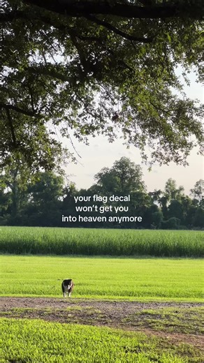 this and political reform | your flag decal won't get you