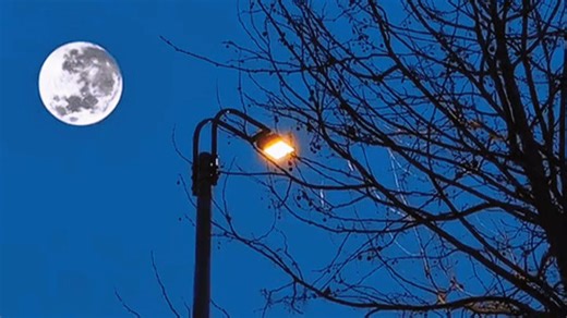 JOIIMU JM5多功能时钟闹钟，集LED显示、USB充电、夜灯功能于一体，晨光唤醒更舒适，办公居家两相宜，提升日常效率。