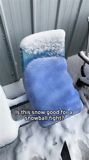 Is This Snow Perfect for Snowball Fights?