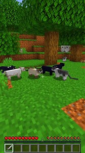 Granja de bambú automática en Minecraft | Laiwy