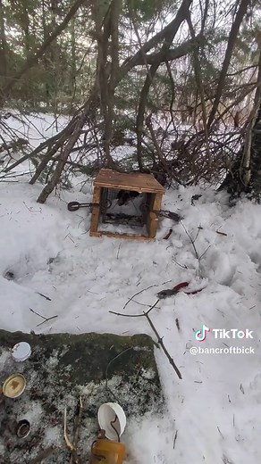 How to trap a fisher. This is how I make my fisher cubby set with a 160 conibear bodygrip trap. Some of the steps in this process are non negotiable and are included in every fisher set I make. Focus on adding a loud skunky lure. #fisher #fishertrapping #trapping #160 #trapline